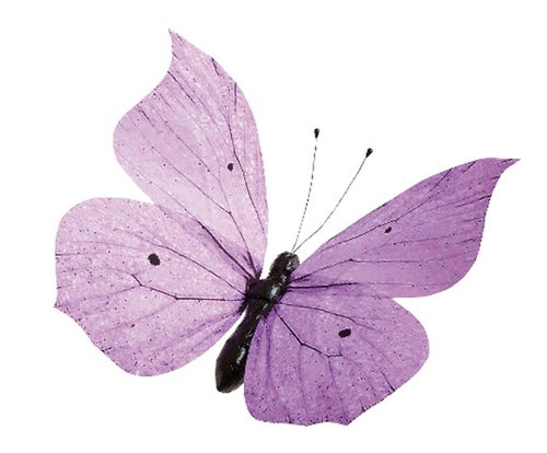 Butterfly Violet
